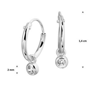 013-28385K Oorringen met Zirkonia hanger Z