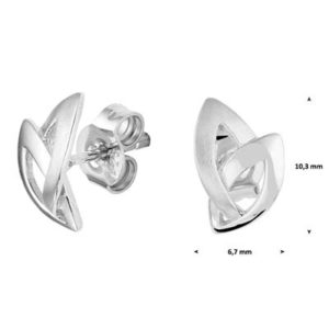 013-29149K Oorknoppen Z