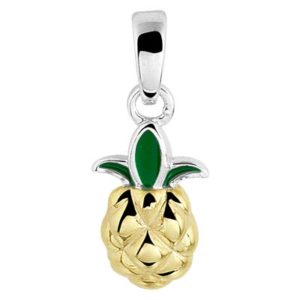 013-29854K hanger Ananas Z