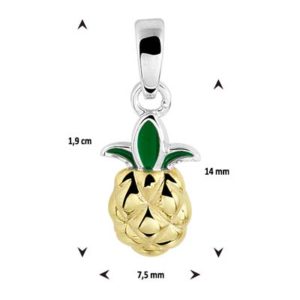 013-29854K hanger Ananas Z