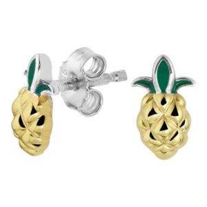 013-29855K Oorstekers ananas Z