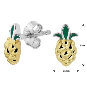 013-29855K Oorstekers ananas Z
