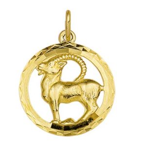 040-05654K Hanger sterrenbeeld Steenbok GG