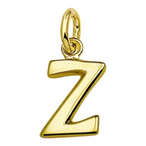 040-11169K Letterhanger Z Geelgoud