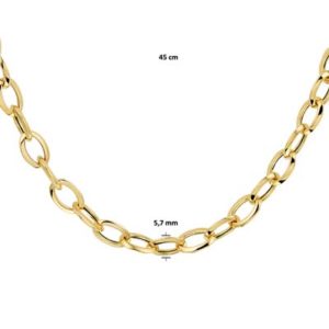 040-20521K Collier Geelgoud
