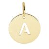 040-20773K Letterhanger A Geelgoud