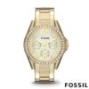 Fossil Riley dames horloge ES3203