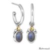 72204813 Rabinovich Oorhangers Golden Shadow