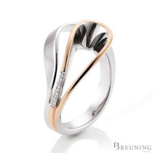 42-03294 Ring Breuning