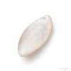 PENPEARL-FCT-S Sparkling Jewels Parelmoer