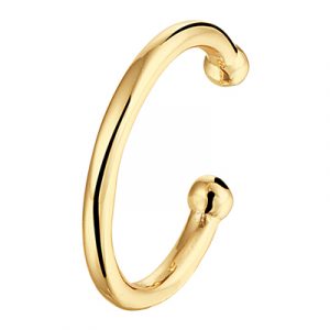 021-01318K Earcuff