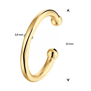 021-01318K Earcuff