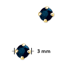 040-00939K Oorstekers Saffier