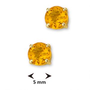 040-10287K Oorstekers Citrien
