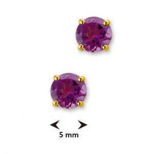 040-10291K Oorstekers Amethist