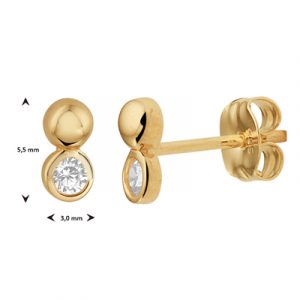 040-22645K Oorstekers Zirkonia