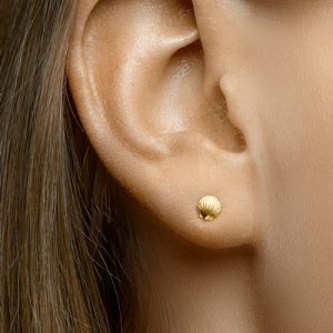 040-22860K Oorstekers Schelp