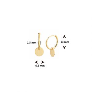 040-22890K Oorhangers rondje