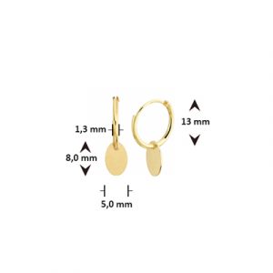 040-22891K Oorhangers ovaal