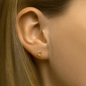 040-22955K Oorstekers rondje