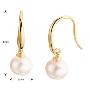 040-22977K Oorhangers parel