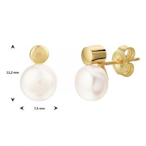 040-23007K Oorstekers parel