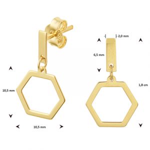 040-23065K Oorhangers Zeshoek