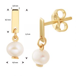 040-23066K Oorhangers parel