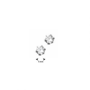 041-00753K Oorstekers Zirkonia