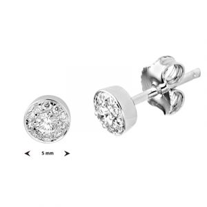 041-05455K Oorstekers rond Diamant